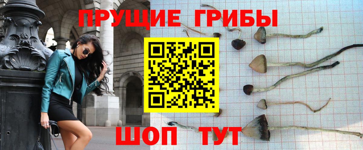 Псилоцибиновые грибы GOLDEN TEACHER Новокубанск